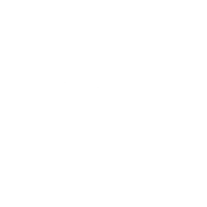 LSEG